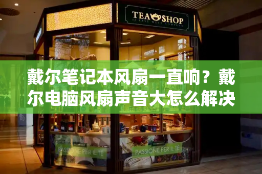 戴尔笔记本风扇一直响？戴尔电脑风扇声音大怎么解决