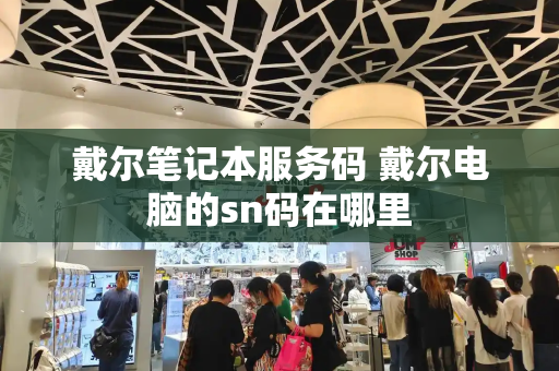 戴尔笔记本服务码 戴尔电脑的sn码在哪里-第1张图片-星选测评