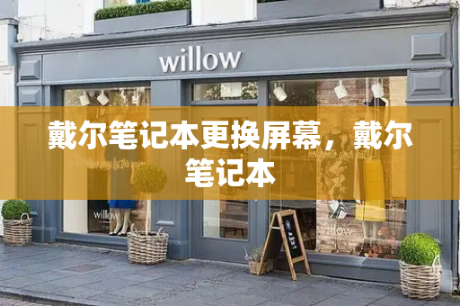 戴尔笔记本更换屏幕，戴尔笔记本-第1张图片-星选测评