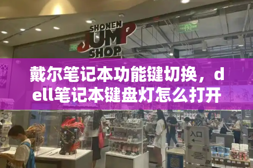 戴尔笔记本功能键切换，dell笔记本键盘灯怎么打开