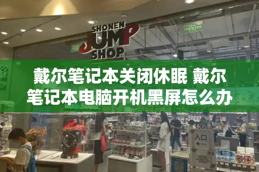 戴尔笔记本关闭休眠 戴尔笔记本电脑开机黑屏怎么办-第1张图片-星选测评