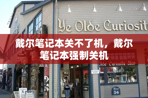 戴尔笔记本关不了机，戴尔笔记本强制关机-第1张图片-星选测评