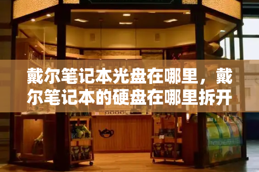戴尔笔记本光盘在哪里，戴尔笔记本的硬盘在哪里拆开-第1张图片-星选测评