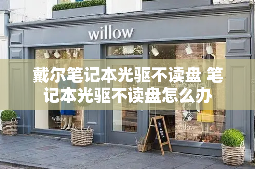 戴尔笔记本光驱不读盘 笔记本光驱不读盘怎么办-第1张图片-星选测评
