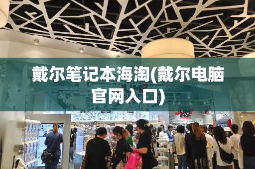 戴尔笔记本海淘(戴尔电脑官网入口)