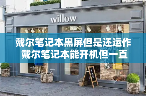 戴尔笔记本黑屏但是还运作 戴尔笔记本能开机但一直黑屏-第1张图片-星选测评