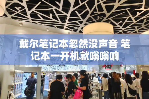 戴尔笔记本忽然没声音 笔记本一开机就嗡嗡响