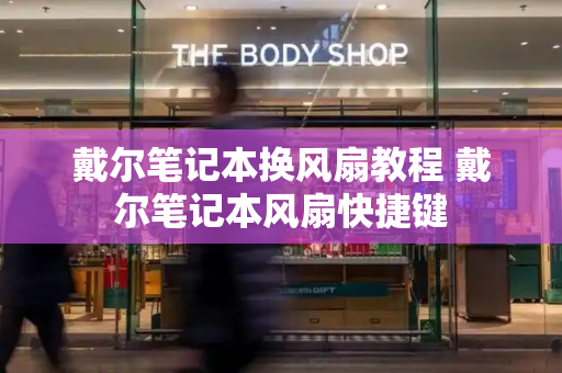 戴尔笔记本换风扇教程 戴尔笔记本风扇快捷键-第1张图片-星选测评