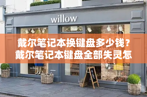 戴尔笔记本换键盘多少钱？戴尔笔记本键盘全部失灵怎么回事-第1张图片-星选测评