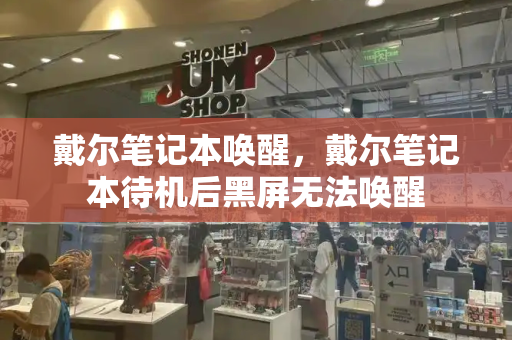 戴尔笔记本唤醒，戴尔笔记本待机后黑屏无法唤醒-第1张图片-星选测评