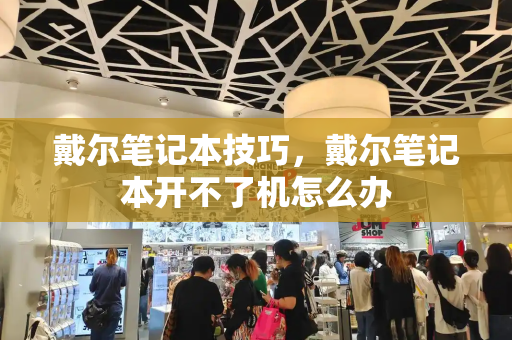 戴尔笔记本技巧，戴尔笔记本开不了机怎么办