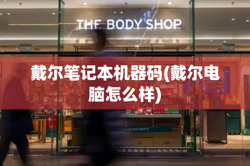 戴尔笔记本机器码(戴尔电脑怎么样)-第1张图片-星选测评