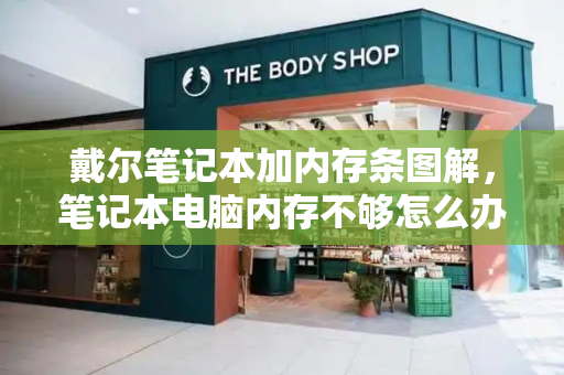戴尔笔记本加内存条图解，笔记本电脑内存不够怎么办-第1张图片-星选测评