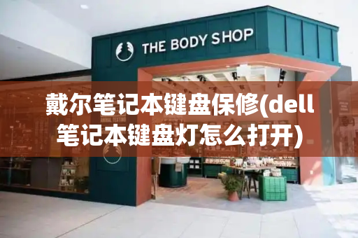 戴尔笔记本键盘保修(dell笔记本键盘灯怎么打开)-第1张图片-星选测评