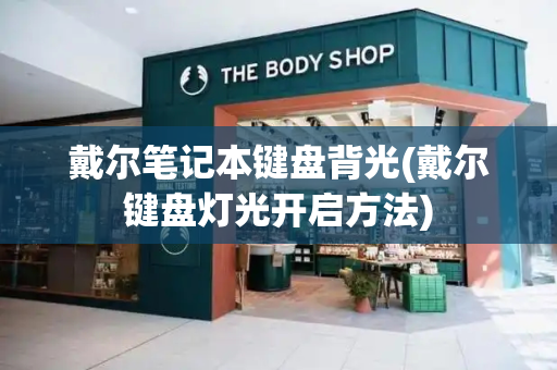 戴尔笔记本键盘背光(戴尔键盘灯光开启方法)-第1张图片-星选测评