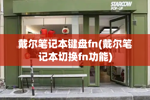 戴尔笔记本键盘fn(戴尔笔记本切换fn功能)-第1张图片-星选测评