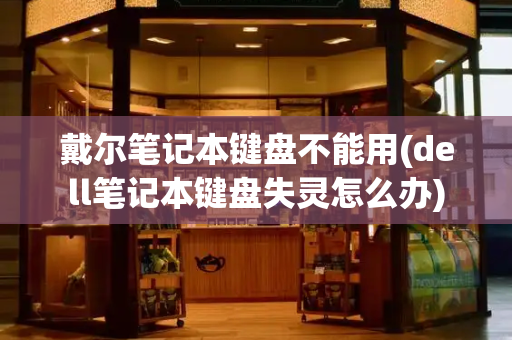 戴尔笔记本键盘不能用(dell笔记本键盘失灵怎么办)-第1张图片-星选测评