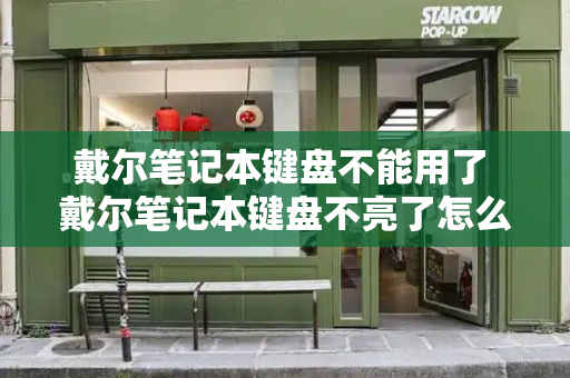 戴尔笔记本键盘不能用了 戴尔笔记本键盘不亮了怎么解决-第1张图片-星选测评