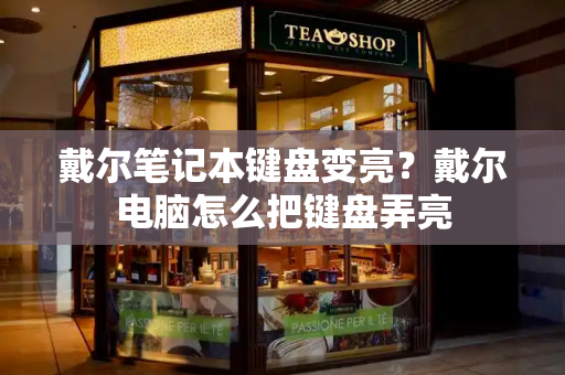 戴尔笔记本键盘变亮？戴尔电脑怎么把键盘弄亮-第1张图片-星选测评