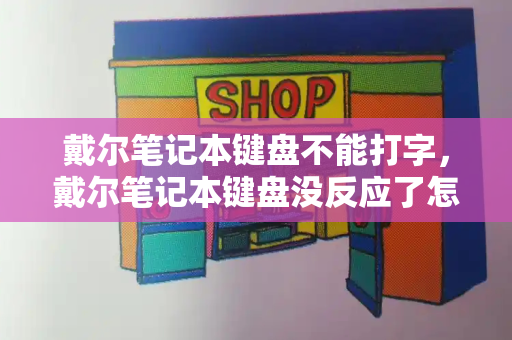 戴尔笔记本键盘不能打字，戴尔笔记本键盘没反应了怎么办-第1张图片-星选测评