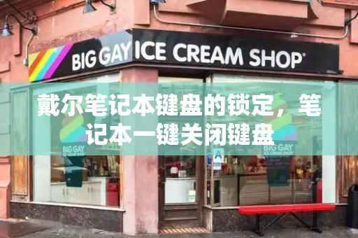 戴尔笔记本键盘的锁定，笔记本一键关闭键盘-第1张图片-星选测评