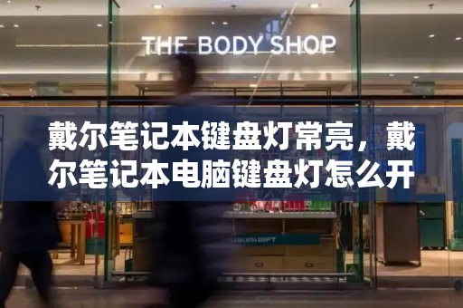 戴尔笔记本键盘灯常亮，戴尔笔记本电脑键盘灯怎么开启-第1张图片-星选测评