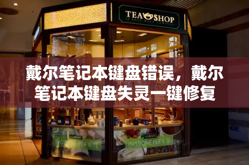 戴尔笔记本键盘错误，戴尔笔记本键盘失灵一键修复-第1张图片-星选测评