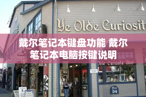 戴尔笔记本键盘功能 戴尔笔记本电脑按键说明-第1张图片-星选测评