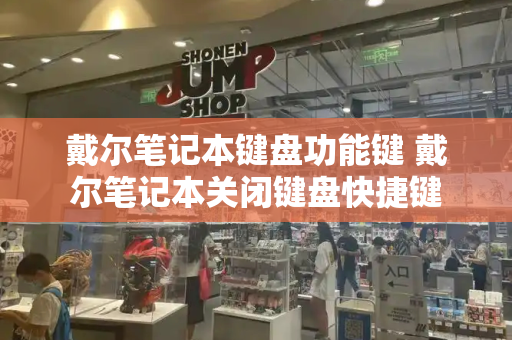 戴尔笔记本键盘功能键 戴尔笔记本关闭键盘快捷键-第1张图片-星选测评