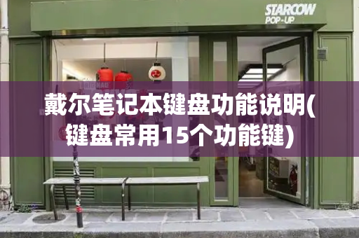 戴尔笔记本键盘功能说明(键盘常用15个功能键)-第1张图片-星选测评