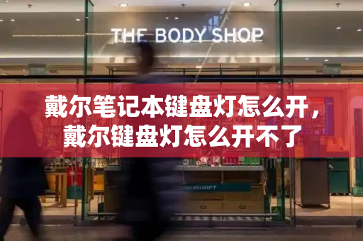戴尔笔记本键盘灯怎么开，戴尔键盘灯怎么开不了-第1张图片-星选测评