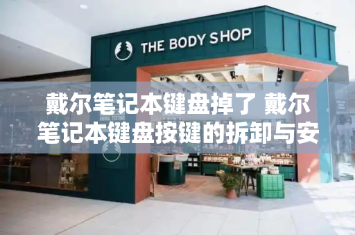 戴尔笔记本键盘掉了 戴尔笔记本键盘按键的拆卸与安装-第1张图片-星选测评