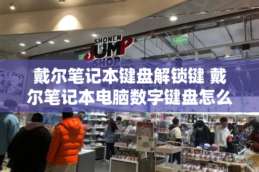 戴尔笔记本键盘解锁键 戴尔笔记本电脑数字键盘怎么解锁-第1张图片-星选测评