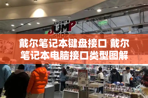 戴尔笔记本键盘接口 戴尔笔记本电脑接口类型图解-第1张图片-星选测评