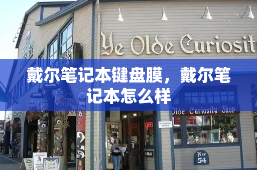 戴尔笔记本键盘膜，戴尔笔记本怎么样-第1张图片-星选测评