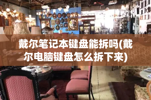 戴尔笔记本键盘能拆吗(戴尔电脑键盘怎么拆下来)-第1张图片-星选测评