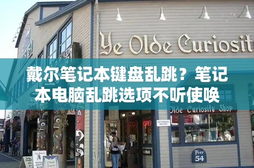 戴尔笔记本键盘乱跳？笔记本电脑乱跳选项不听使唤-第1张图片-星选测评