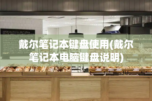 戴尔笔记本键盘使用(戴尔笔记本电脑键盘说明)-第1张图片-星选测评
