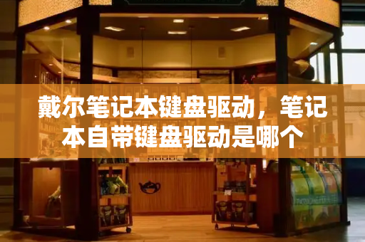 戴尔笔记本键盘驱动，笔记本自带键盘驱动是哪个-第1张图片-星选测评
