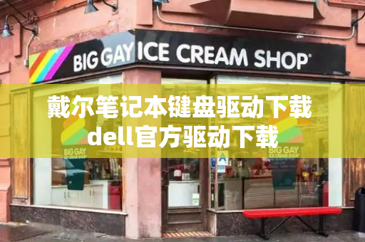 戴尔笔记本键盘驱动下载 dell官方驱动下载-第1张图片-星选测评