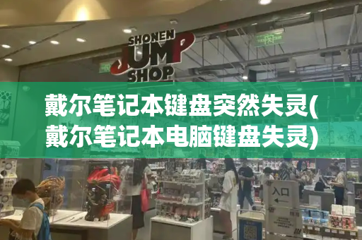 戴尔笔记本键盘突然失灵(戴尔笔记本电脑键盘失灵)