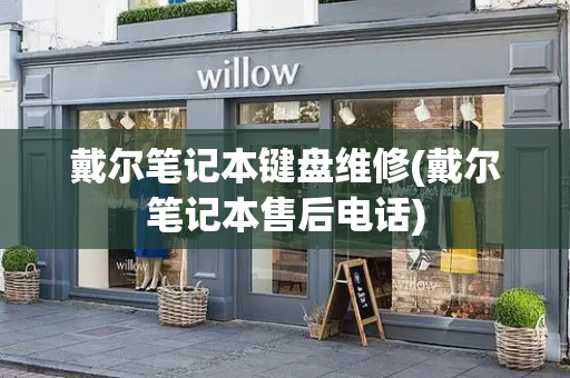 戴尔笔记本键盘维修(戴尔笔记本售后电话)-第1张图片-星选测评