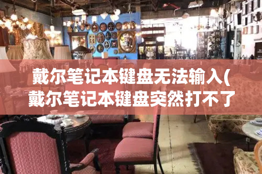 戴尔笔记本键盘无法输入(戴尔笔记本键盘突然打不了字)-第1张图片-星选测评