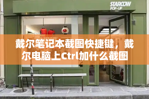 戴尔笔记本截图快捷键，戴尔电脑上Ctrl加什么截图-第1张图片-星选测评