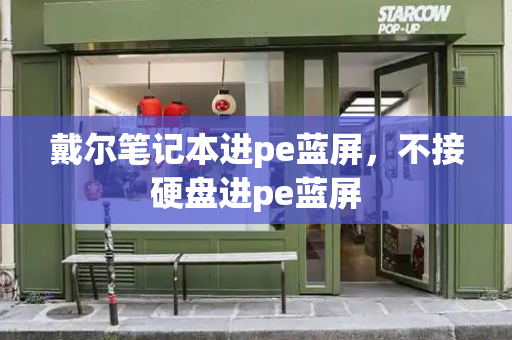 戴尔笔记本进pe蓝屏，不接硬盘进pe蓝屏
