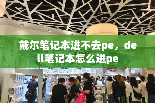戴尔笔记本进不去pe，dell笔记本怎么进pe-第1张图片-星选测评