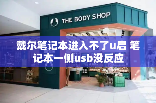 戴尔笔记本进入不了u启 笔记本一侧usb没反应-第1张图片-星选测评