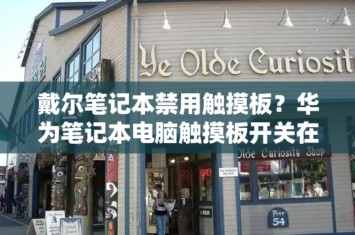 戴尔笔记本禁用触摸板？华为笔记本电脑触摸板开关在哪