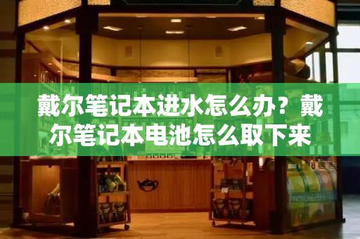 戴尔笔记本进水怎么办？戴尔笔记本电池怎么取下来-第1张图片-星选测评