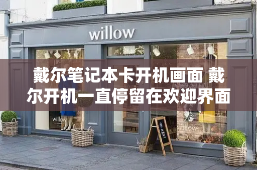 戴尔笔记本卡开机画面 戴尔开机一直停留在欢迎界面